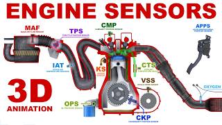 Engine Sensors  Basics 3D Animation [upl. by Apicella92]