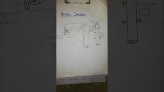 How to draw Nephron Diagram  easy way to draw Nephron [upl. by Piotr855]