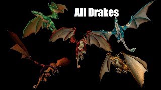 How To Get All Drake Mounts In WoW [upl. by Iden]