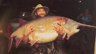 Missouri Record Fish Stories  Paddlefish [upl. by Agate176]