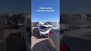 Toyota corollas los mas buscados en subasta subasta shorts copart [upl. by Ynnav255]