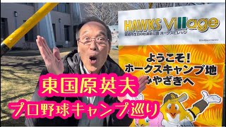 【東国原英夫】プロ野球キャンプ巡り（福岡ソフトバンクホークス／オリックス・バファローズ／読売巨人軍） [upl. by Nitsu]