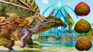 Wir Zähmen verschiedene Dinos für Kibble  Ark Survival Acended [upl. by Avirt]