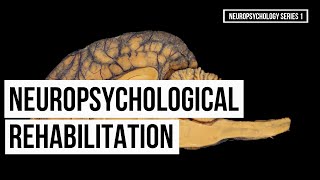 Neuropsychological Rehabilitation Series 1 [upl. by Yehsa]