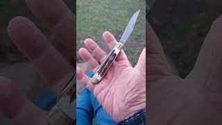 COLT STAG HANDLE TRAPPER knifestuffwedo knifecollector manstuff traditional [upl. by Torosian492]