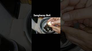 Sanghary Boilfood cooking recipe  By Family kitchen 786 [upl. by Briny]