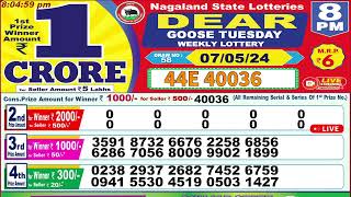 Dear goose tuesday weekly lottery 8PM 07052024 [upl. by Epps]