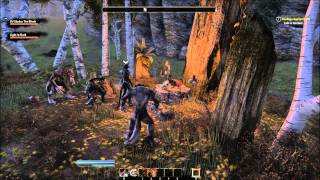 TESO Infecting another player with Lycanthropy [upl. by Iteerp271]