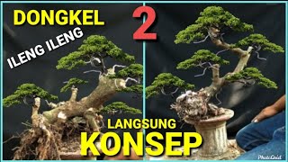 DONGKEL DAN KONSEP BAHAN BONSAI ILENG ILENGMANGSIAN [upl. by Hairu]