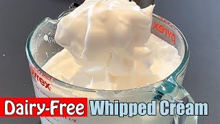 DAIRYFREE Whipped Cream Recipe  How to Make Vegan Whipped Cream [upl. by Yrannav]