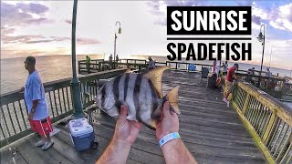 How to catch BIG spade fish from the pier  Hampton VA buckroe pier [upl. by Blackmun809]