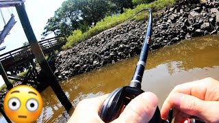 My ROD got YANKED out the BOAT  Inshore Fishing South Carolina  Edisto Island [upl. by Ashli]