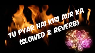 Tu Pyar Hai  Cover Version  Sampreet Dutta  Slowed and Reverb  Kumar Sanu  Lofi Dope Music [upl. by Ekal]