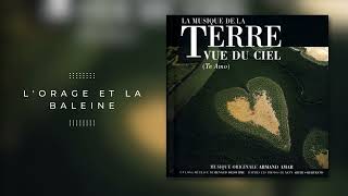 La Terre Vue du Ciel  Original Soundtrack by Armand Amar FULL ALBUM [upl. by Anytsirhc]