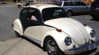 VOLTZ Electric Bug Conversion [upl. by Shelbi]