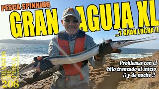 PESCA SPINNING GRAN AGUJA XL y gran lucha Problemas con el hilo trenzado Señuelos Aliexpress [upl. by Galanti516]