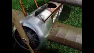 CHIN CHOW SOPWITH PUP [upl. by Krik]