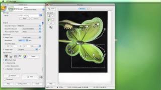Scanning using the Epson Software [upl. by Haerle631]