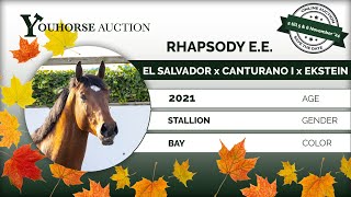 Rhapsodie IN THE AUTUMN YOUHORSEAUCTION LOOSE JUMPING NOVEMBER 2  NOVEMBER 5 amp 6 [upl. by Scever864]