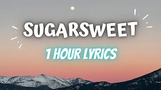 Sugarsweet  Zach Sorgen 1 Hour Lyrics I’m on the road it’s my time Taking control of my life [upl. by Hagile]