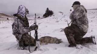 Coyote Hunting in Montana [upl. by Lorien264]