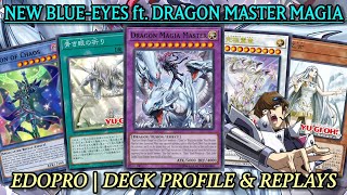 NEW BLUEEYES ft DRAGON MAGIA MASTER amp Illusion of Chaos  EDOPRO Replays amp Deck Profile [upl. by Len380]