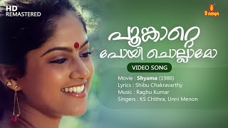 Poonkatte Poyi Chollamo Video Song  Shibu Chakravarthy  Raghu Kumar  KS Chithra  Unni Menon [upl. by Schram334]