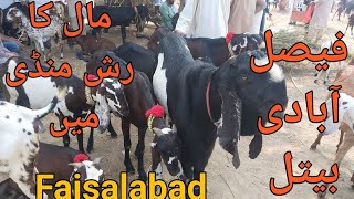 Faisalabad mandi uodate faisalabad got form [upl. by Nosidda]