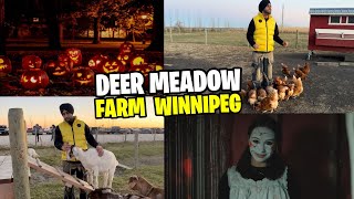 VLOG 47 ⭐  Deer Meadow Farms WINNIPEG  Happy Halloween 🎃  Punjabi Vlog [upl. by Haropizt]