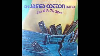 The James Cotton Band – Caldonia [upl. by Aneem]