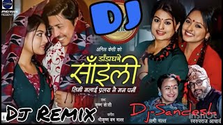 New Nepali LokDohori Dj Remix 2021  डाडा घरे साइली  Timi Malai Pralaya Nai Man Parni Dj Remix [upl. by Noteek]