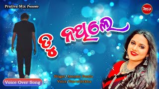 Tu Na Thile  ତୁ ନ ଥିଲେ  Voice Over Odia Song  Aseema Panda  Prativa Mix  Smrutirekha [upl. by Ladd658]