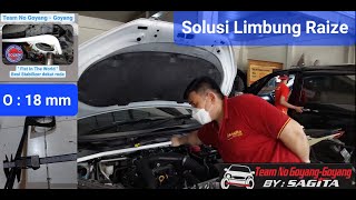 Solusi Mobil Limbung di Toyota Raize  Stabilizer Goliath [upl. by Randall]