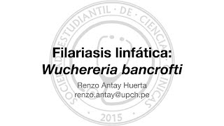 Filariasis Linfática Wuchereria bancrofti [upl. by Eerized]