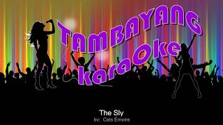 The Sly by Cats Empire TambayangKaraOke [upl. by Sacttler]