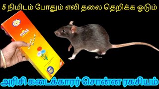 எலி தொல்லைக்கு இத வச்சி பாருங்கKitchen Tips in Tamilnalinimanickcooking [upl. by Cerys]