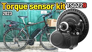 TSDZ2B New Cheap Electric Bike Torque Sensor Central Drive Motor Kit Tongsheng 2023 Reviews [upl. by Gnahc]