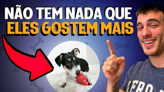 5 Melhores Brinquedos Pro Cachorro Ficar Sozinho [upl. by Aisor]