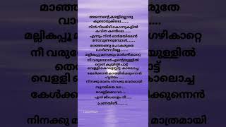 Sundariye vaa song lyrics ❤️song lyrcs short trend virel malayalam [upl. by Ynnub250]