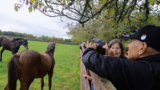 Ireland 2024  Kildare National Stud Farm amp Adare Village [upl. by Avat]