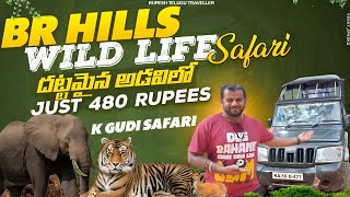 Cheap amp Best Wild Life Safari ₹480  K Gudi Wild Life  Karnataka [upl. by Whittemore]