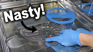 How to Clean a Dishwasher Filter  Frigidaire Gallery [upl. by Slaby779]