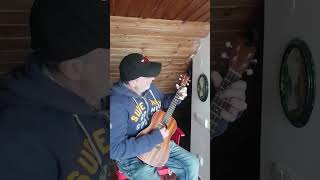 Baritone Ukulele  12 Bar Blues in EADG Tuning [upl. by Ajim]