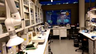 Proteomics Unit and Plant Genomics Lab at Institute of Biotechnology University of Helsinki [upl. by Katrinka]