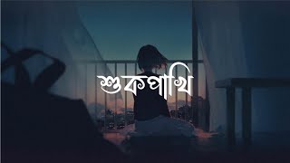 Shukpakhi শুকপাখি Satyaki Banerjee  Pradipta Bhattacharyya  Bengali Song  Birohi Uribaba [upl. by Newell]