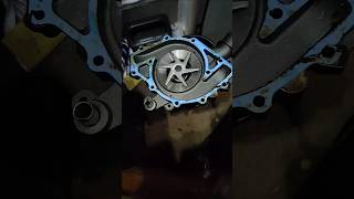 Ford 460 water pump installation gaskets plate [upl. by Nedgo869]