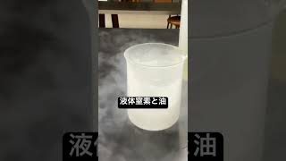 液体窒素と油 satisfying chemistry science 液体窒素 理科 [upl. by Alilahk]