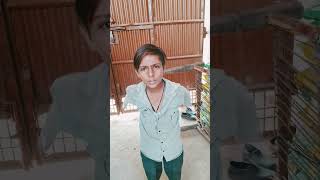 short🤣🤣🤣🤣🤣🤣🤣comedy anishh funny punjabi fun love anireet anishsa ll ma ladagur [upl. by Ettenuahs]