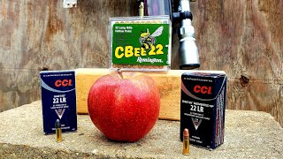 Slow Mo CCI Quiet 22 VS Remington CBee VS CCI Quiet Segmented 22lr [upl. by Yhtak]