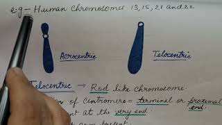 Types of Chromosome In HINDI For CSIR NET and NEET [upl. by Ahsimit]